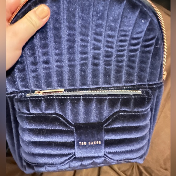 NWT Ted baker velvet bow back bag - Picture 3 of 4